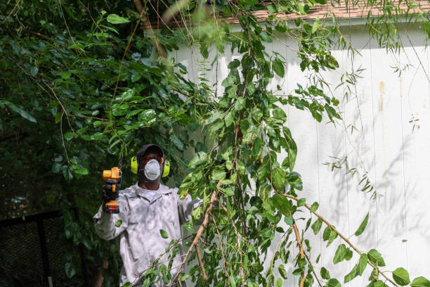 Best Tree Maintenance Programs  in Hershey, PA